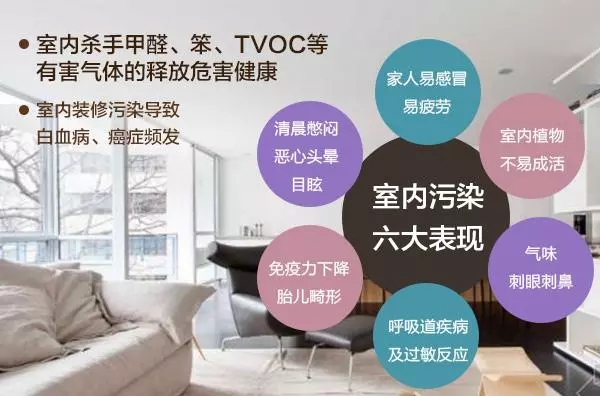 裝修污染早已伸向了學(xué)校？中學(xué)生無緣高考的背后是什么？